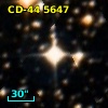 CD-44  5647