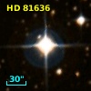 HD  81636