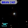 BRAN 247
