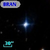 BRAN 255