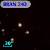 BRAN 243