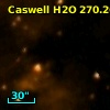 Caswell H2O 270.26+00.84