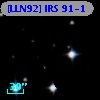 [LLN92] IRS 91-1