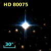 HD  80075