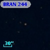 BRAN 244