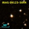IRAS 09123-5044