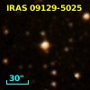 IRAS 09129-5025