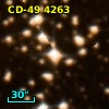 CD-49  4263