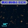 IRAS 08491-5124