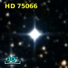 HD  75066