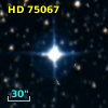 HD  75067