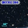 [BCC85] 204