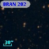 BRAN 202