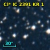 Cl* IC 2391     KR       1