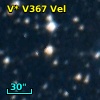 V* V367 Vel