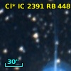 Cl* IC 2391     RB     448