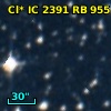 Cl* IC 2391     RB     955