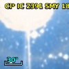 Cl* IC 2391    SMY      18
