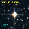 CD-53  2436