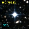 HD  75131