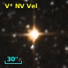 V* NV Vel