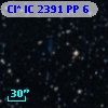 Cl* IC 2391     PP       6