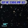 Cl* IC 2391     PP      12