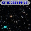 Cl* IC 2391     PP      13
