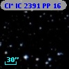 Cl* IC 2391     PP      16