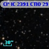 Cl* IC 2391   CTIO      29