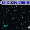 Cl* IC 2391   CTIO      48