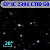 Cl* IC 2391   CTIO      50