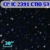 Cl* IC 2391   CTIO      53