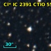 Cl* IC 2391   CTIO      55