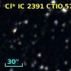 Cl* IC 2391   CTIO      57