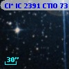 Cl* IC 2391   CTIO      73