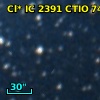 Cl* IC 2391   CTIO      74