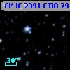 Cl* IC 2391   CTIO      79