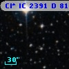 Cl* IC 2391      D      81