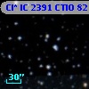 Cl* IC 2391   CTIO      82