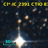 Cl* IC 2391   CTIO      83