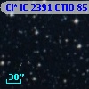 Cl* IC 2391   CTIO      85