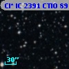 Cl* IC 2391   CTIO      89