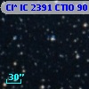 Cl* IC 2391   CTIO      90