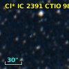 Cl* IC 2391   CTIO      98