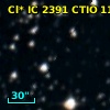 Cl* IC 2391   CTIO     113