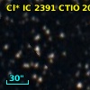 Cl* IC 2391   CTIO     202