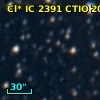Cl* IC 2391   CTIO     206