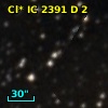 Cl* IC 2391      D       2