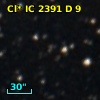 Cl* IC 2391      D       9